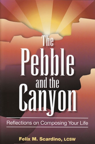 The Pebble and the Canyon-hardcover