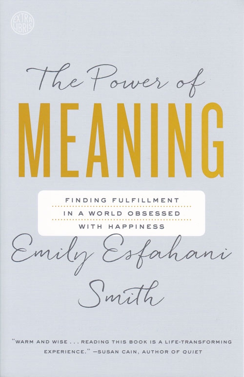 The Power of Meaning-paperback